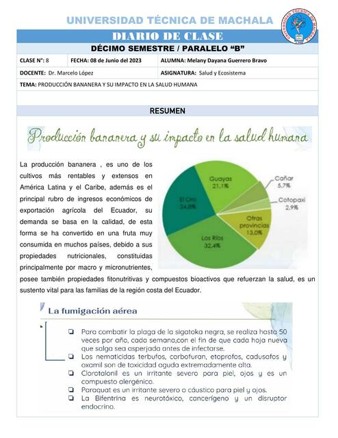 Producción Bananera y su Impacto en la Salud Humana 