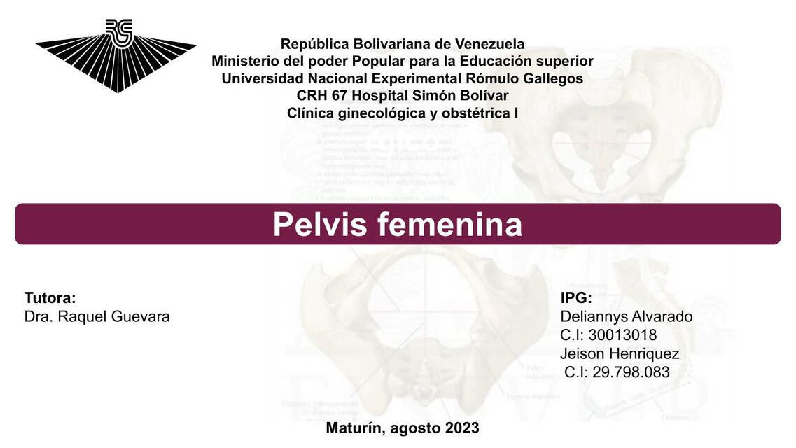 Pelvis femenina