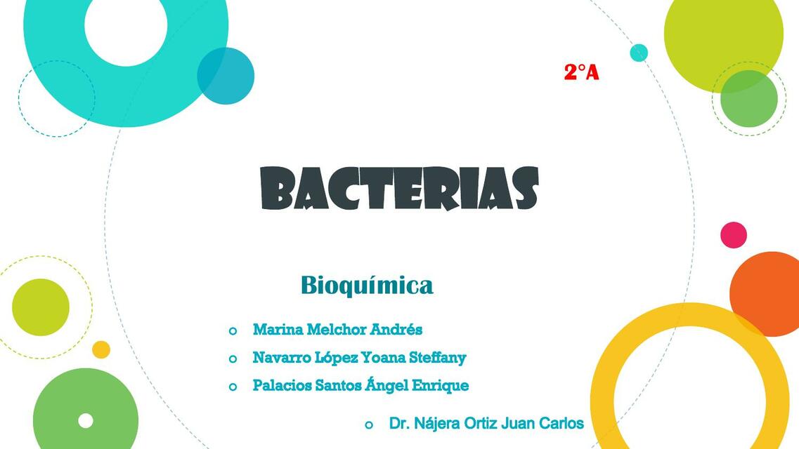 BACTERIAS 