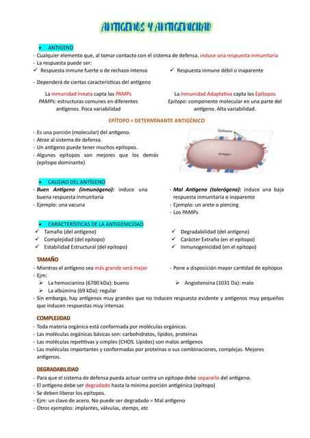 Antígenos, complejo Mayor Histocompatibilidad y tejidos del sistema inmunitario