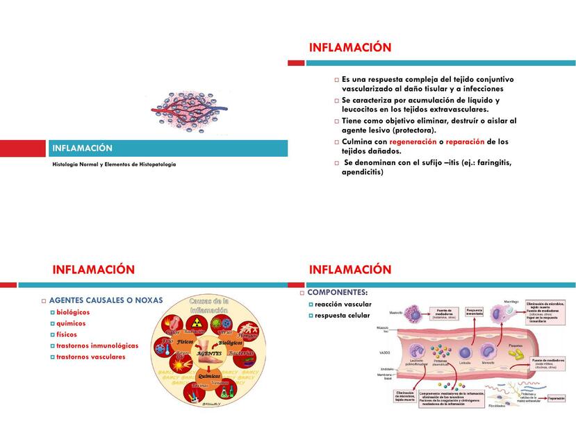 Inflamación