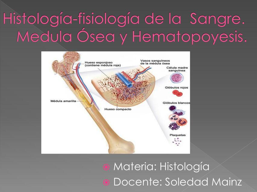 Histología de la Sangre y Médula Ósea