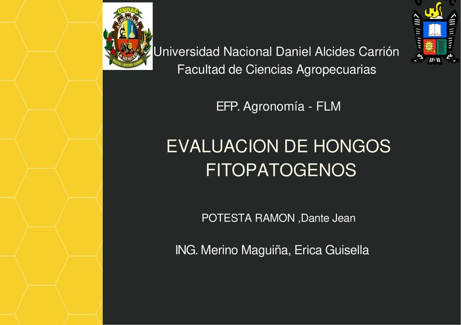 Evaluación de hongos fitopatogenos 