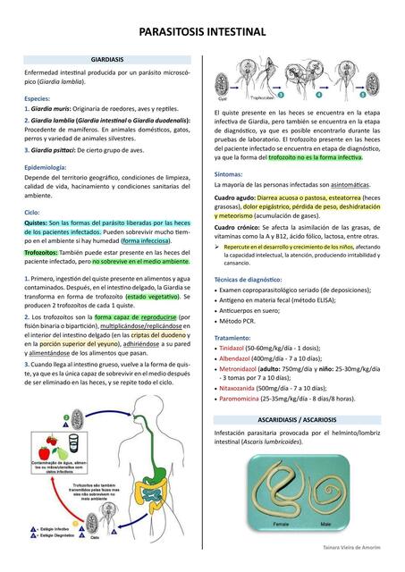 Parasitosis intestinal 