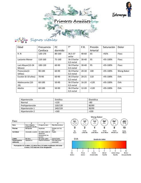 Primeros auxilios  