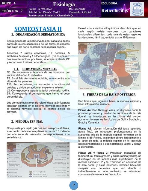 Someostasia II