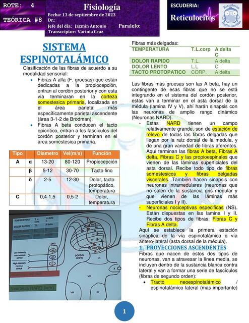 Sistema espinotalámico 