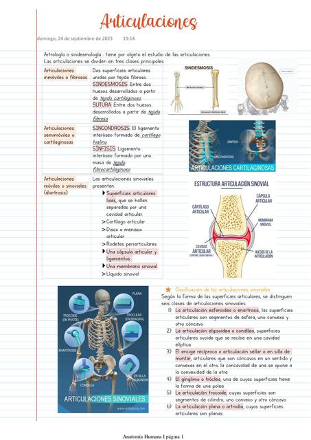 Articulaciones  