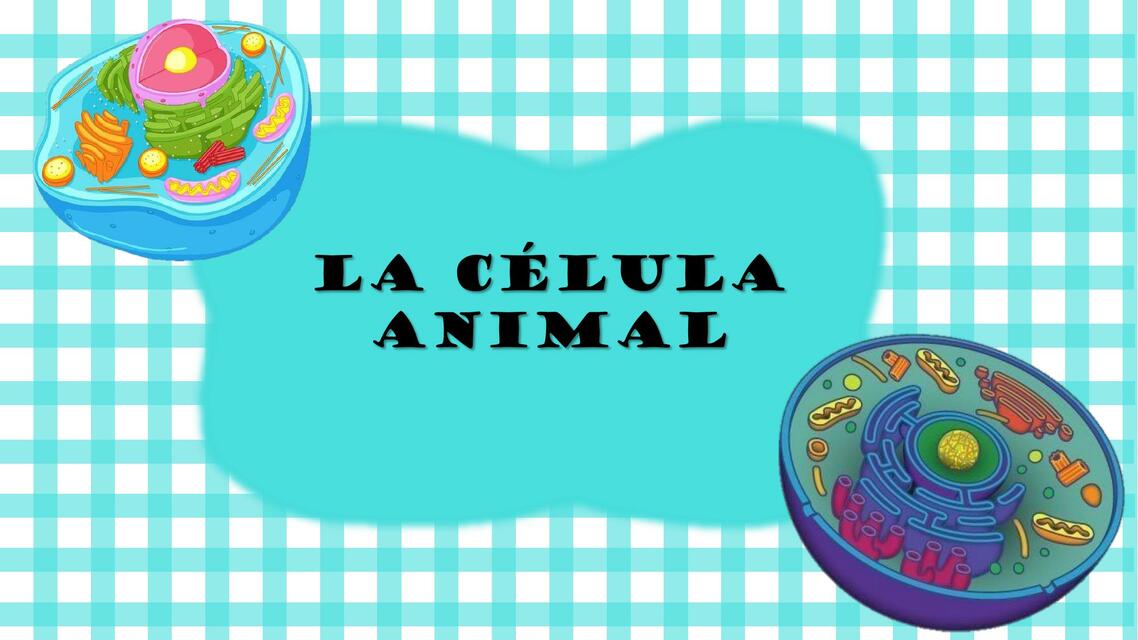 Célula animal