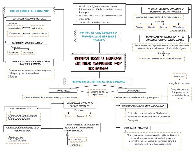 Control Local y Humoral del Flujo Sanguíneo por los Tejidos