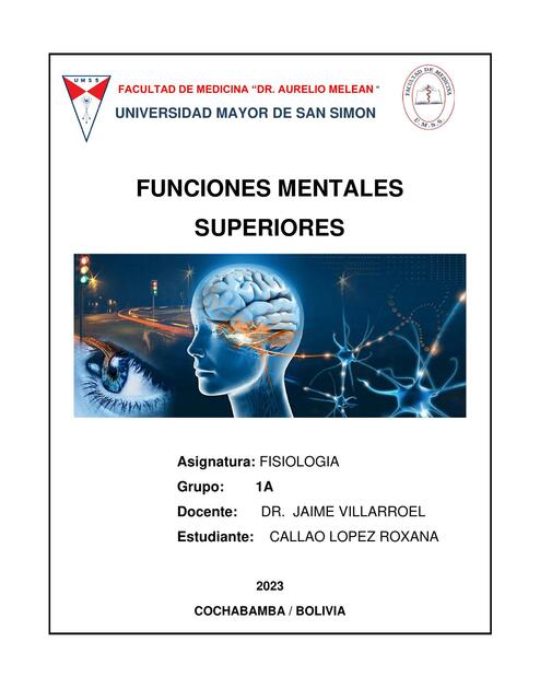 Funciones mentales superiores