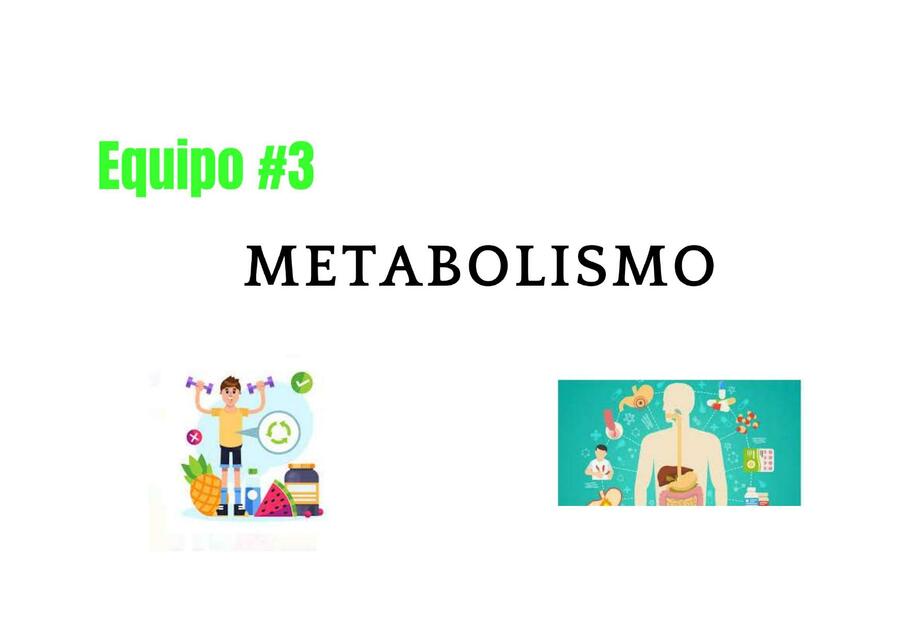 Metabolismo