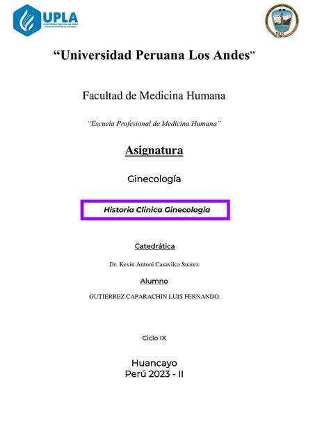 Historia Clinica Ginecologia Ejemplo