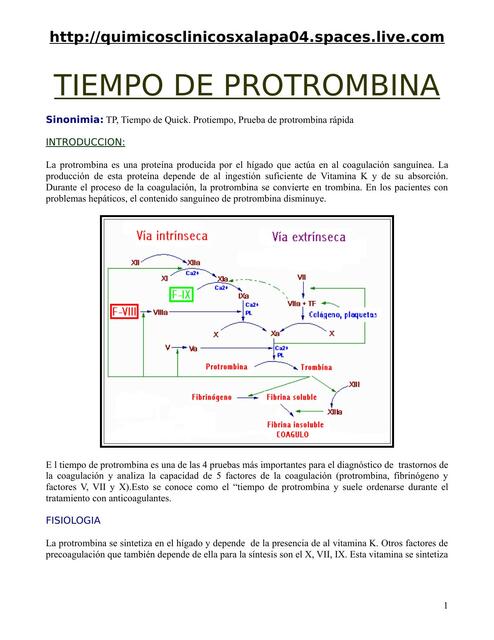 Tiempo de Protrombina 