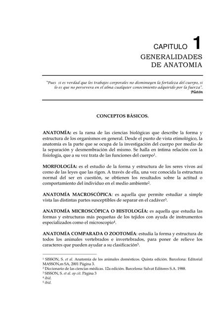 Generalidades de Anatomía 