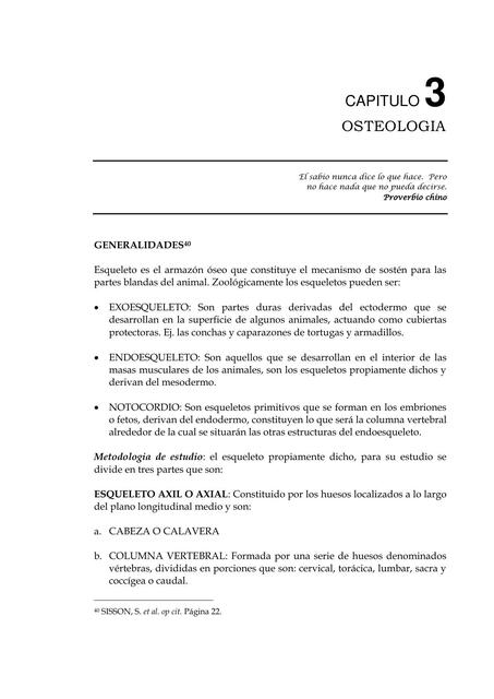 Osteología 