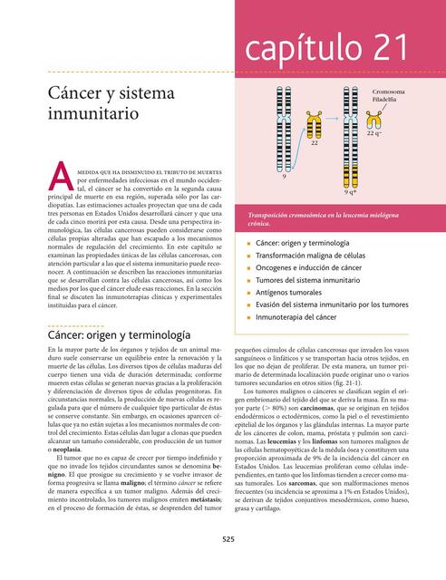 Cáncer y Sistema Inmunitario 