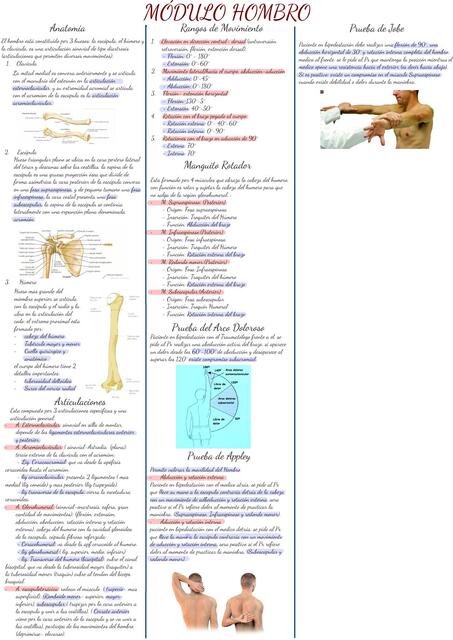 Módulo Hombro 