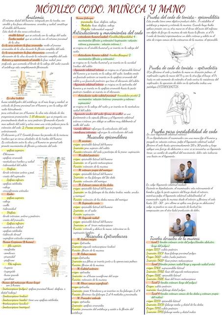Módulo codo, muñeca y mano