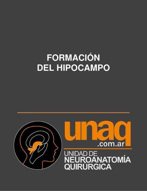 Formación del hipocampo