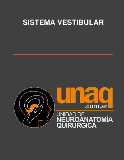 Sistema vestibular