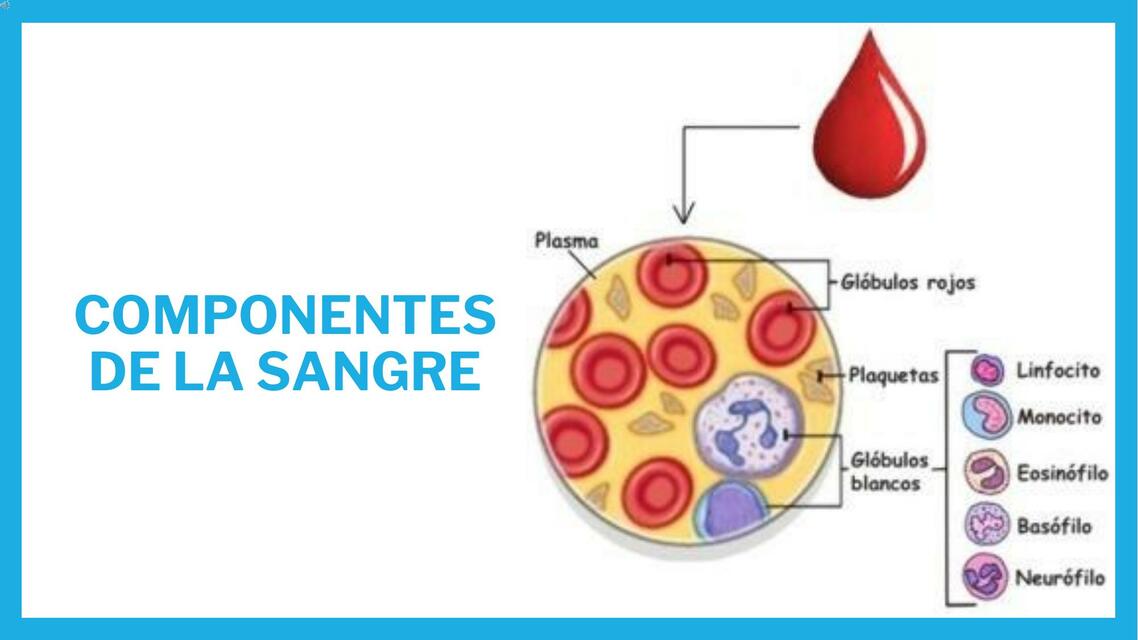 Componentes de la sangre 