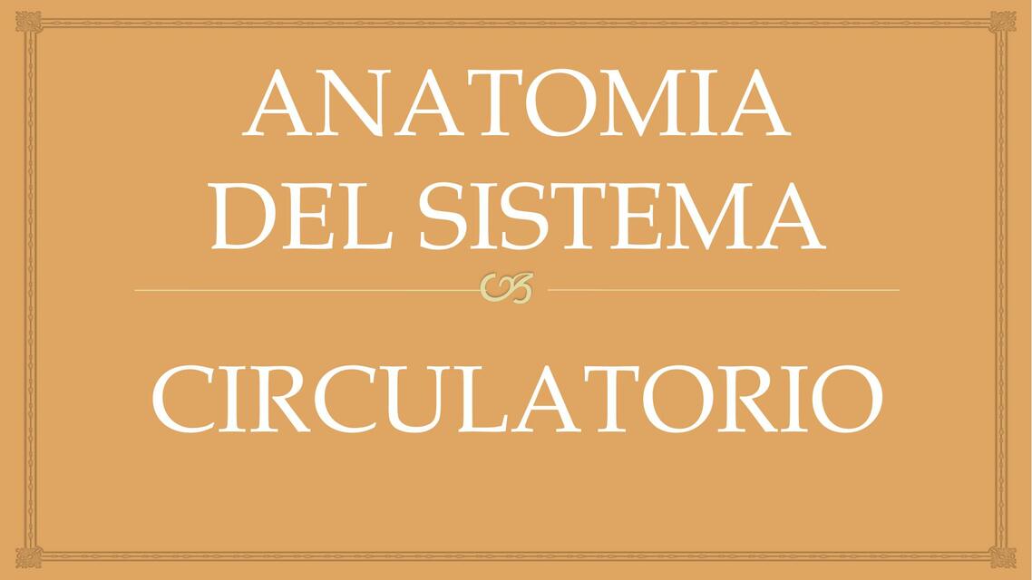 Anatomía del sistema circulatorio