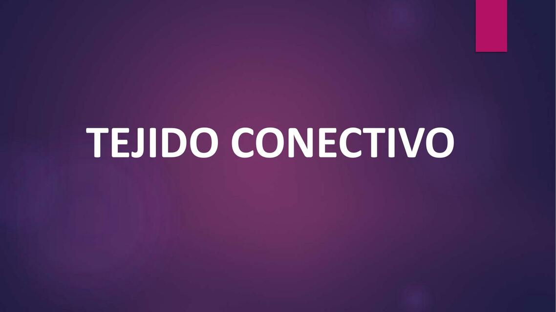 2 Tejido conectivo