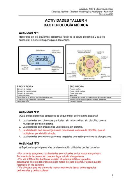 Taller 4 Bacteriología médica general