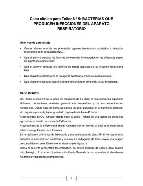 Bacterias que producen infecciones del Aparato respiratorio