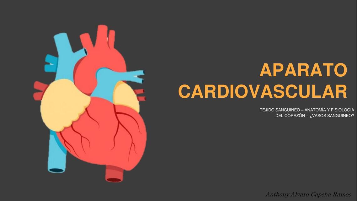 Aparato Cardiovascular 