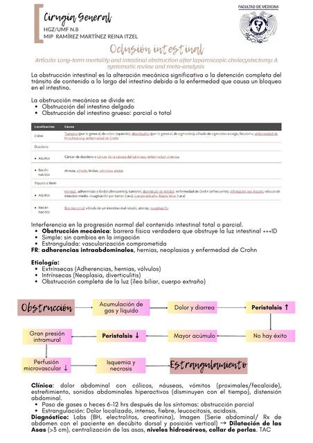 Oclusión intestinal