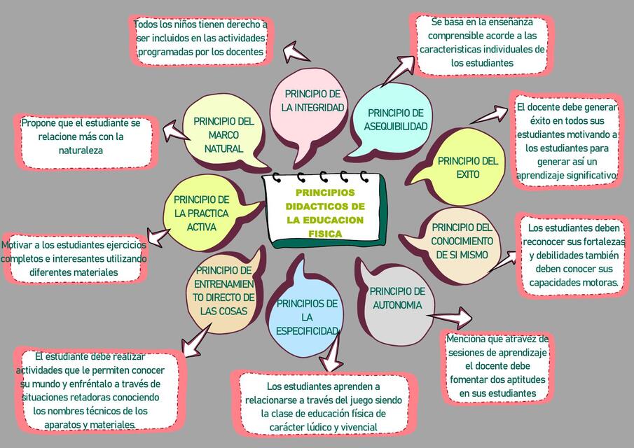 Principios didácticos de la educación física 