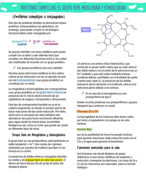  Proteínas complejas o conjugadas 