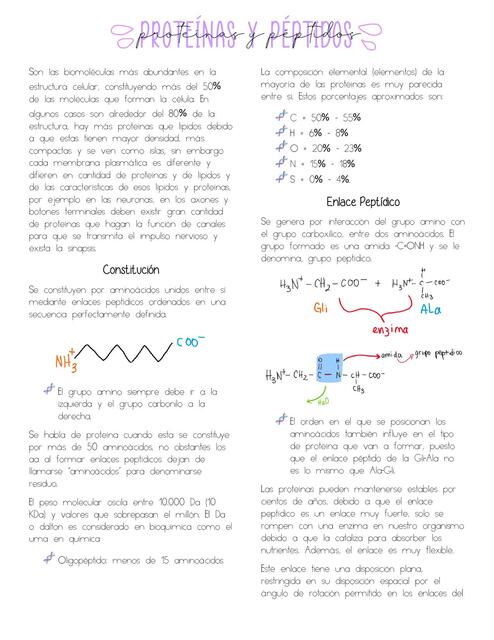  Proteinas y Peptidos 