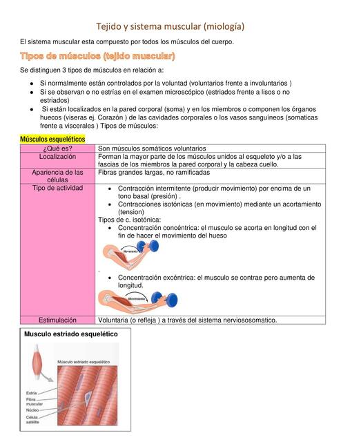 Tejido y sistema muscular 