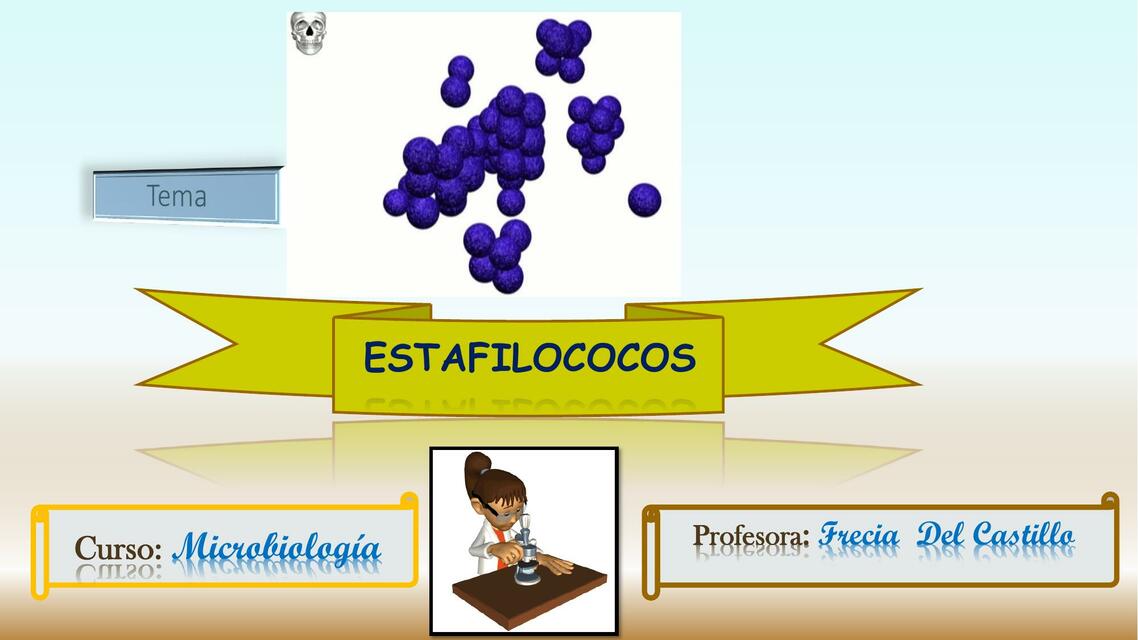 Estafilococos 