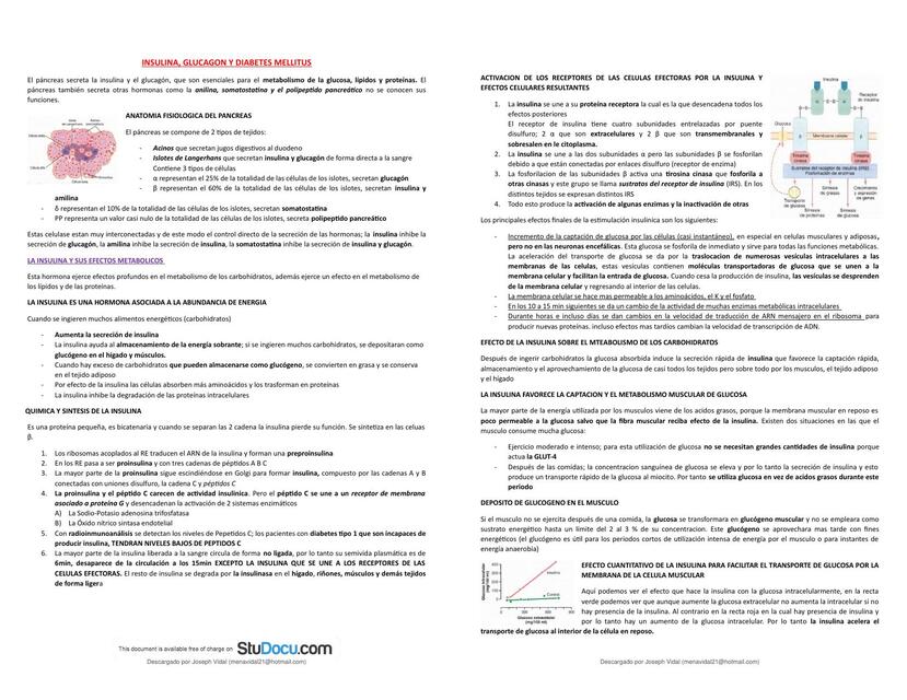 Insulina, glucagón y diabetes mellitus