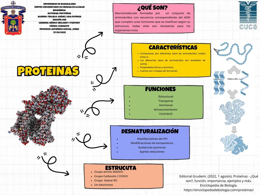 Proteínas 