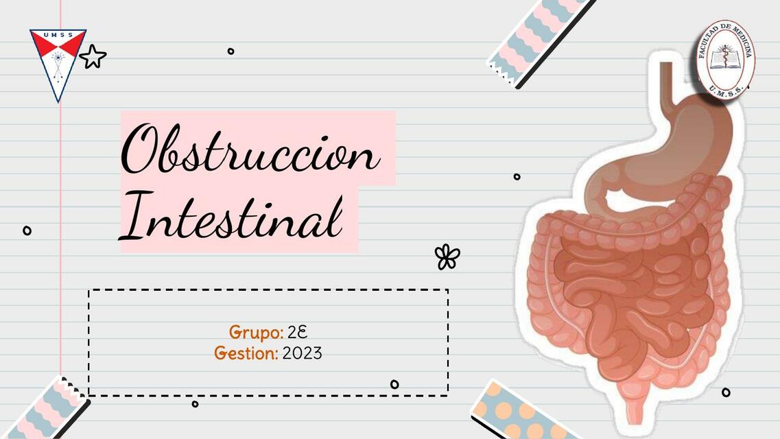 Obstrucción Intestinal