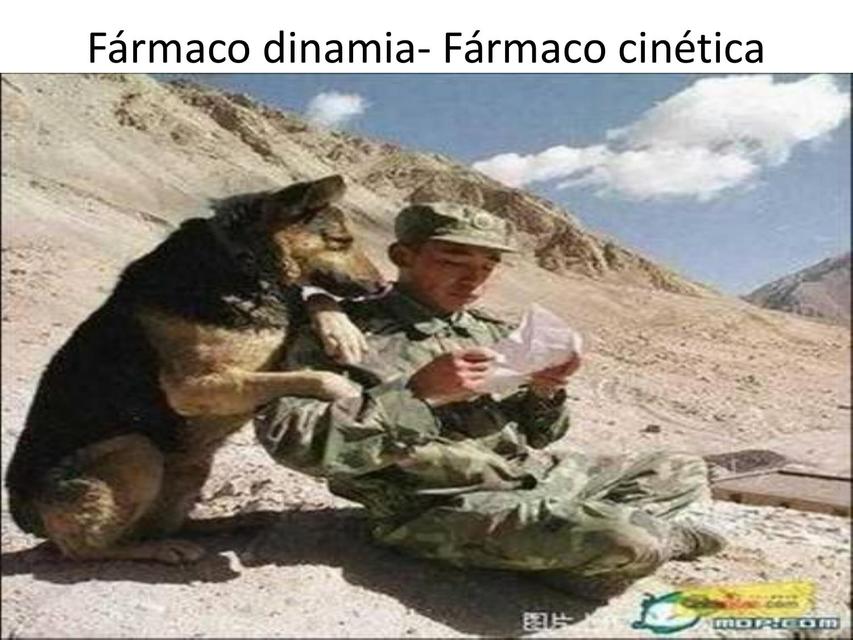 Frmaco dinamia Frmaco cintica