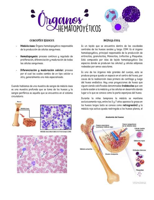 PARCIAL 1