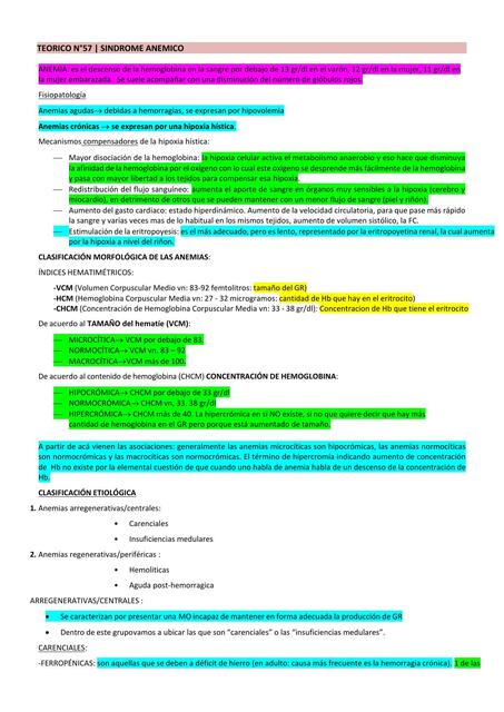 Teoricos Medicina Interna F Sangre