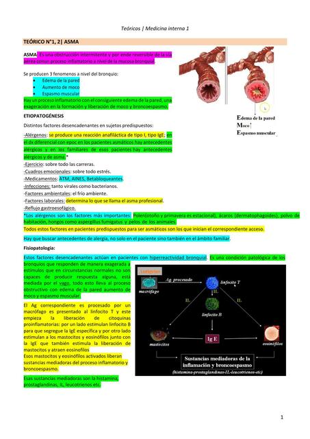 Teoricos Medicina Interna 1 F Respiratorio