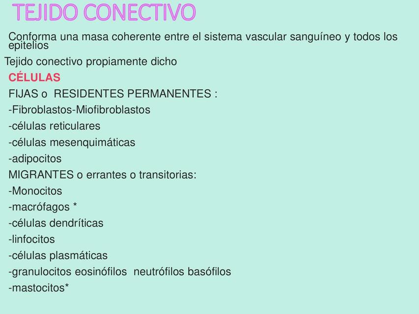 Tejido Conectivo 