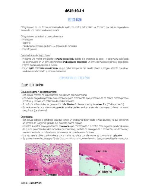 Histología del tejido óseo muscular y nervioso