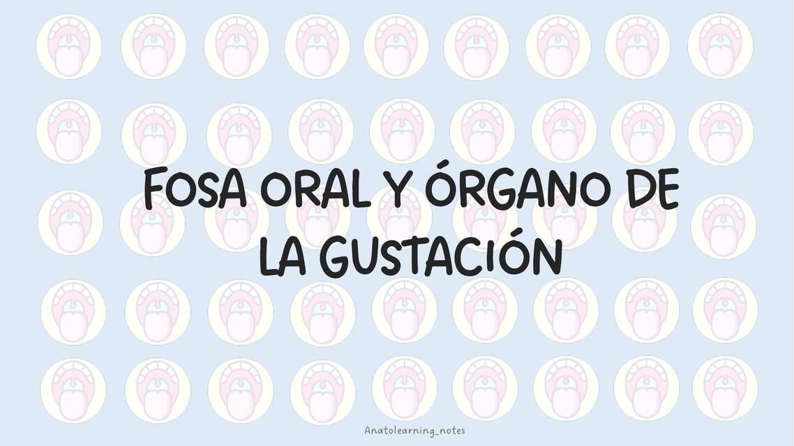 Fosa oral y órgano de la gustación