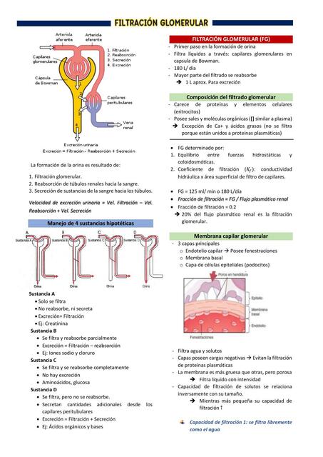 FILTRACIÓN GLOMERULAR