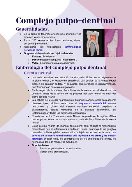 Generalidades del complejo dentino pulpar