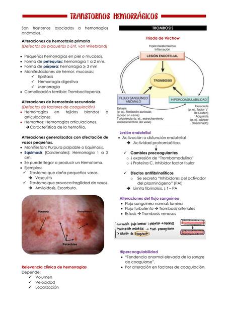 TRANSTORNOS HEMORRÁGICOS